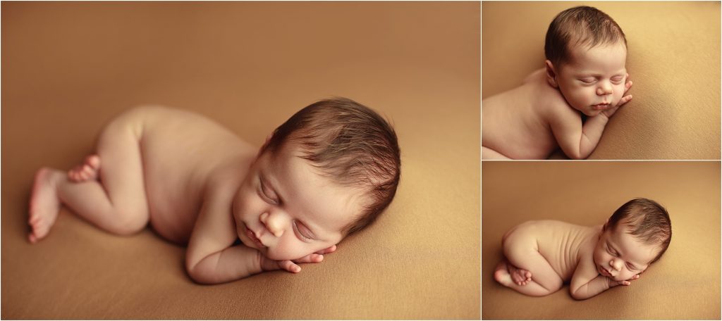 newborn photos with warm neutral colors