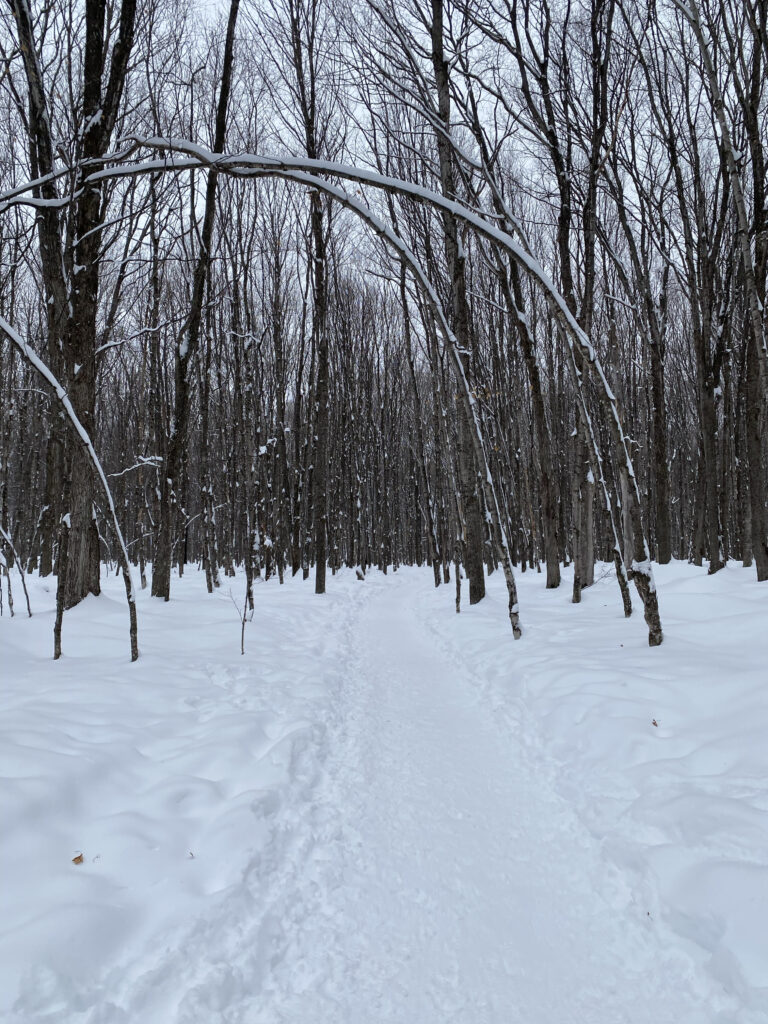 a snow covered trail in Michigan's upper peninsula